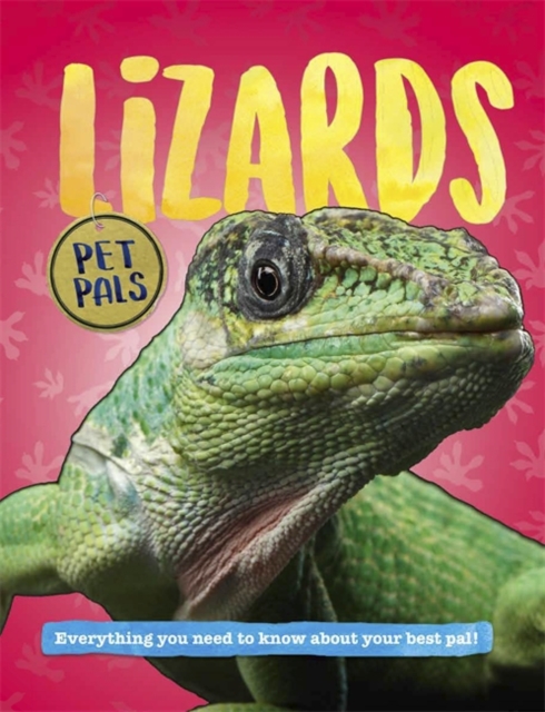 Pet Pals: Lizards, Paperback / softback Book
