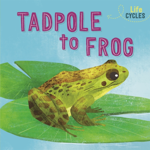 Life Cycles: From Tadpole to Frog, Paperback / softback Book