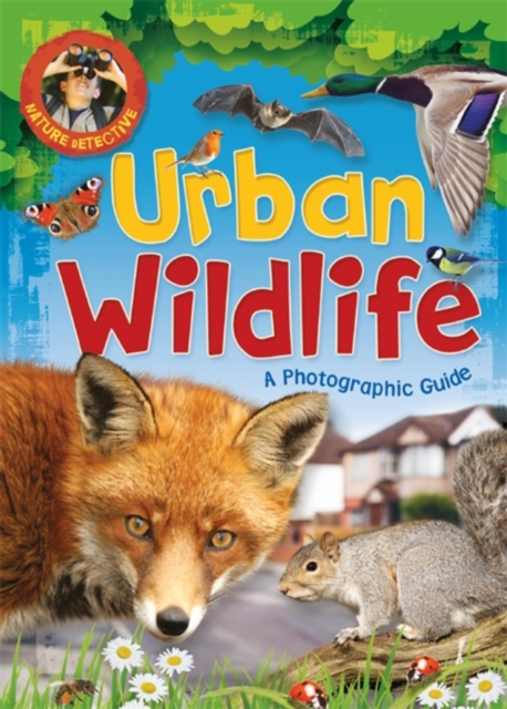 Nature Detective: Urban Wildlife, Paperback / softback Book
