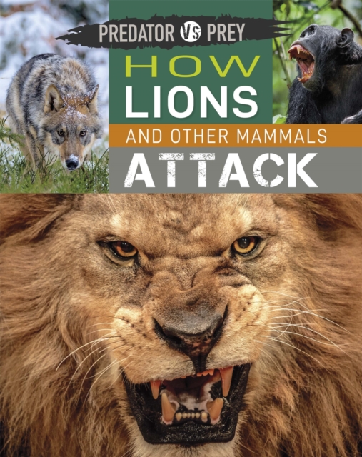 Predator vs Prey: How Lions and other Mammals Attack, Hardback Book