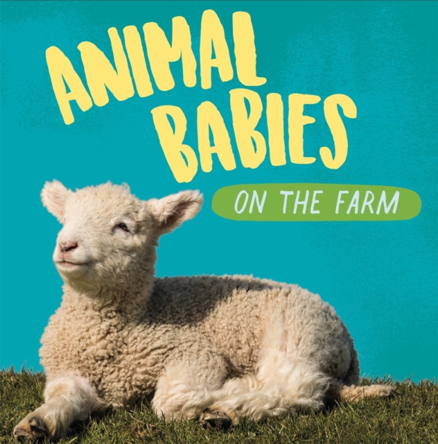 Animal Babies: On the Farm, Hardback Book