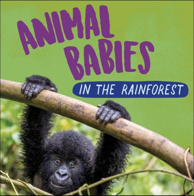 Animal Babies: In the Rainforest, Paperback / softback Book