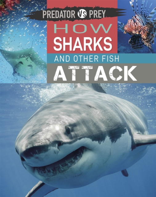 Predator vs Prey: How Sharks and other Fish Attack, Paperback / softback Book
