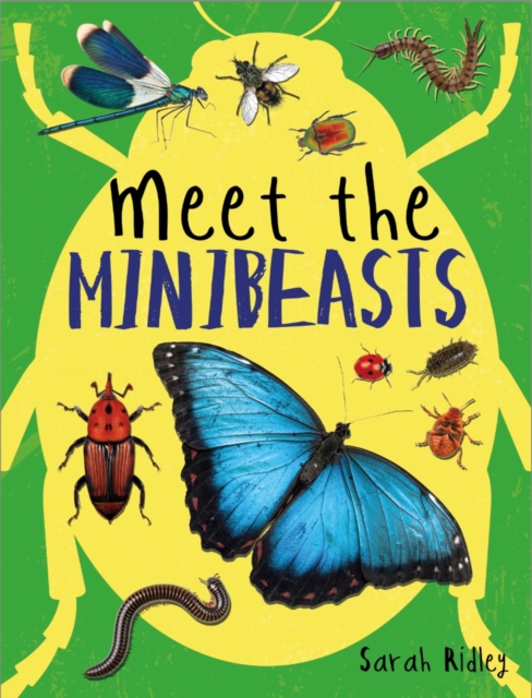 Meet the Minibeasts, EPUB eBook