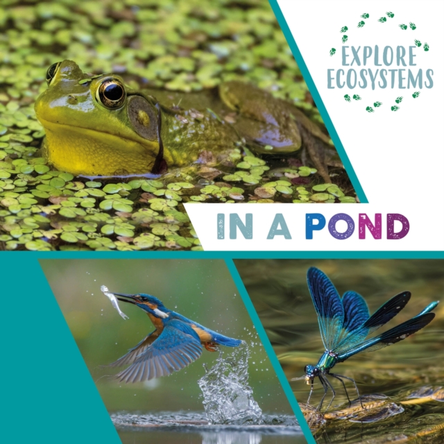 Explore Ecosystems: In a Pond, Hardback Book