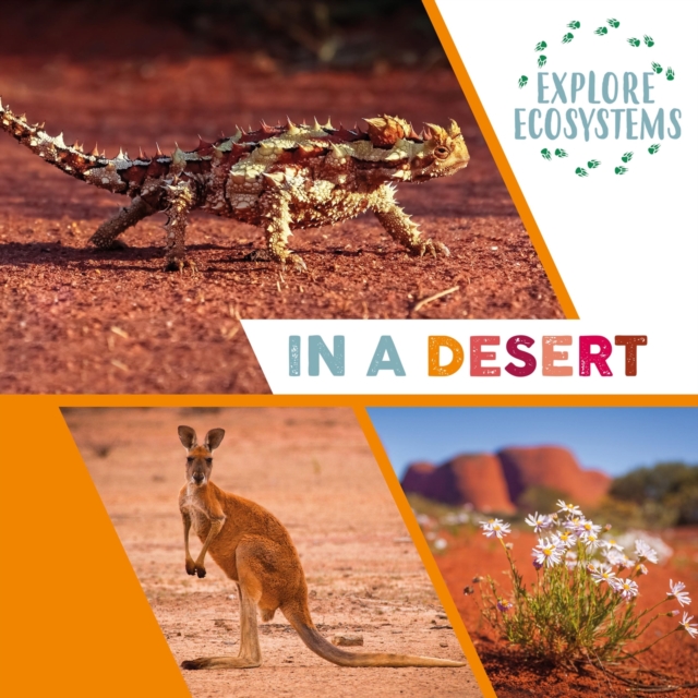 Explore Ecosystems: In a Desert, Hardback Book