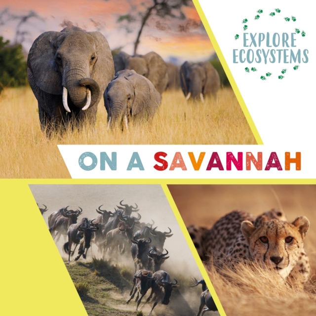 Explore Ecosystems: On a Savannah, Hardback Book