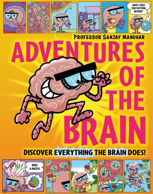 Adventures of the Brain : What the brain does and how it works, Hardback Book