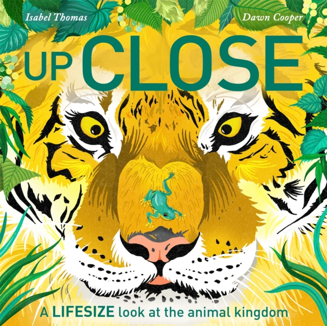 Up Close : A life-size look at the animal kingdom, Paperback / softback Book