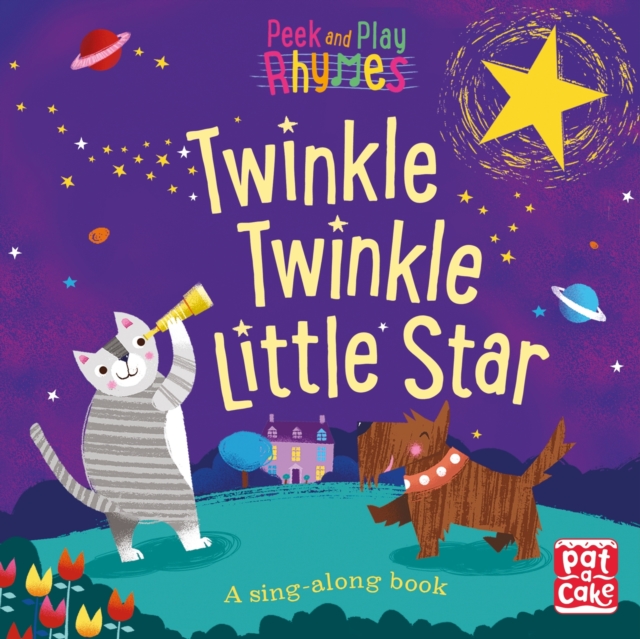 Twinkle Twinkle Little Star : A baby sing-along book, EPUB eBook