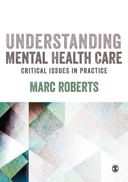 Understanding Mental Health Care: Critical Issues in Practice, PDF eBook