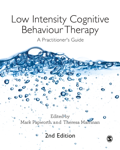 Low Intensity Cognitive Behaviour Therapy : A Practitioner's Guide, PDF eBook
