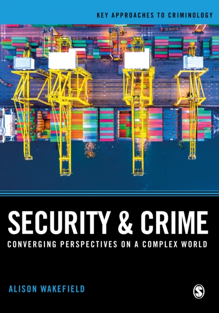Security and Crime : Converging Perspectives on a Complex World, EPUB eBook