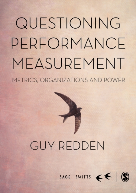 Questioning Performance Measurement: Metrics, Organizations and Power, EPUB eBook