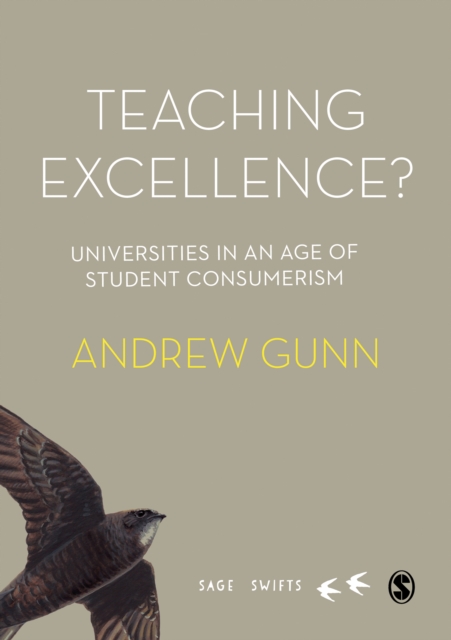 Teaching Excellence? : Universities in an age of student consumerism, PDF eBook