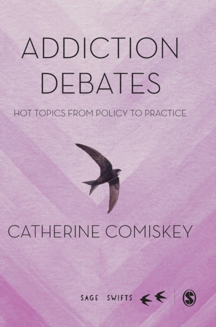 Addiction Debates : Hot Topics from Policy to Practice, Hardback Book