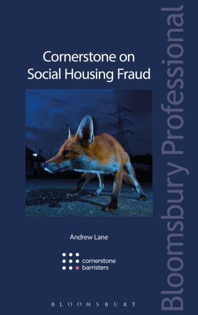 Cornerstone on Social Housing Fraud, PDF eBook