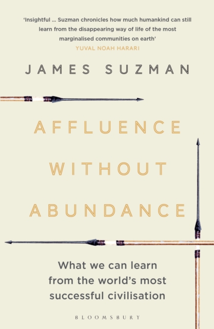 Affluence Without Abundance : What We Can Learn from the World's Most Successful Civilisation, Paperback / softback Book