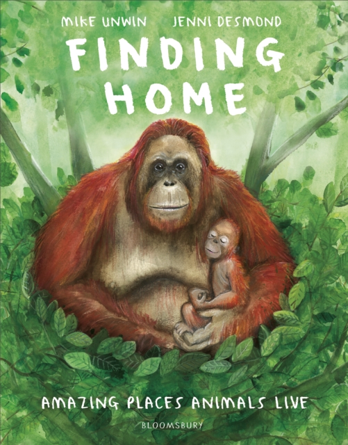 Finding Home : Amazing Places Animals Live, Hardback Book