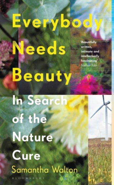 Everybody Needs Beauty : In Search of the Nature Cure, PDF eBook