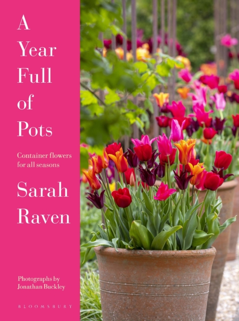 A Year Full of Pots : Container Flowers for All Seasons, PDF eBook
