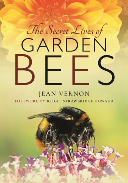 The Secret Lives of Garden Bees, Hardback Book