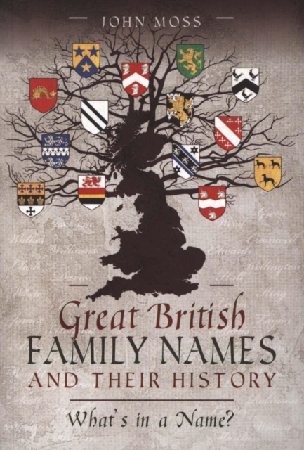Great British Family Names and Their History : What's in a Name?, Paperback / softback Book