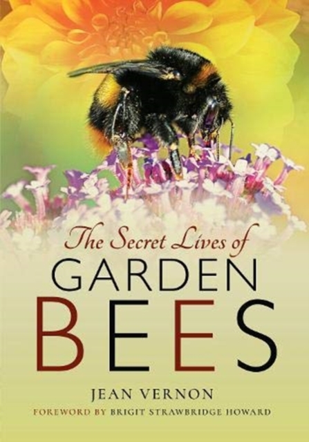 The Secret Lives of Garden Bees, Paperback / softback Book