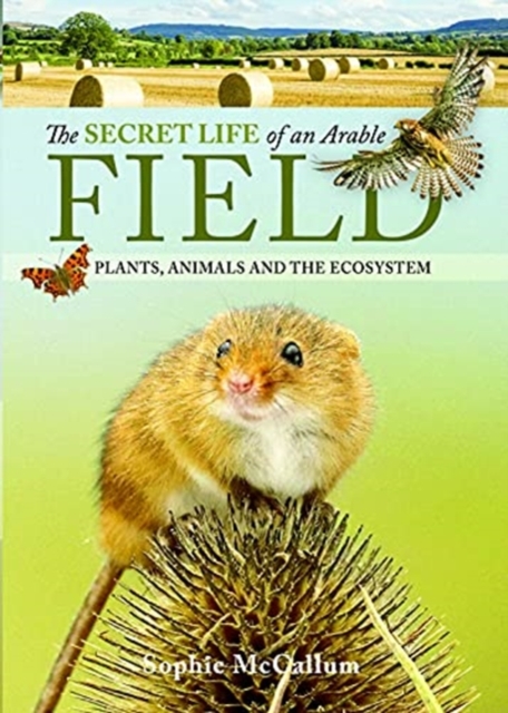 The Secret Life of an Arable Field : Plants, Animals and the Ecosystem, Hardback Book