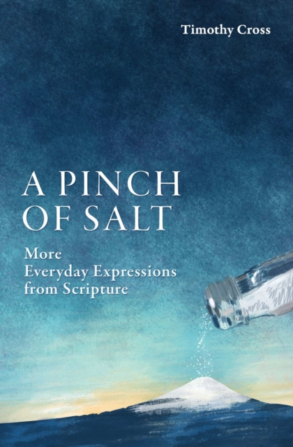A Pinch of Salt : More Everyday Expressions from Scripture, Paperback / softback Book
