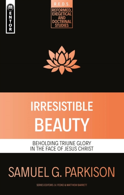 Irresistible Beauty : Beholding Triune Glory in the Face of Jesus Christ, Paperback / softback Book