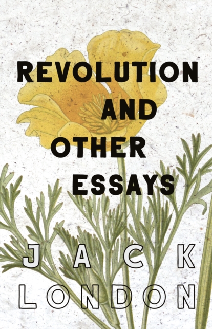 Revolution and Other Essays, EPUB eBook