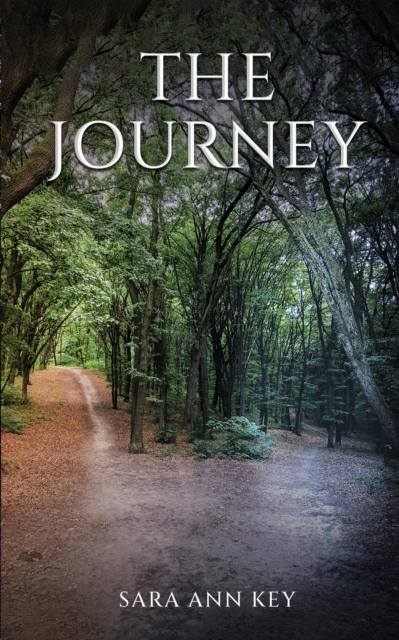 The Journey, Paperback / softback Book