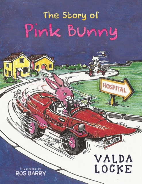 The Story of Pink Bunny, Paperback / softback Book