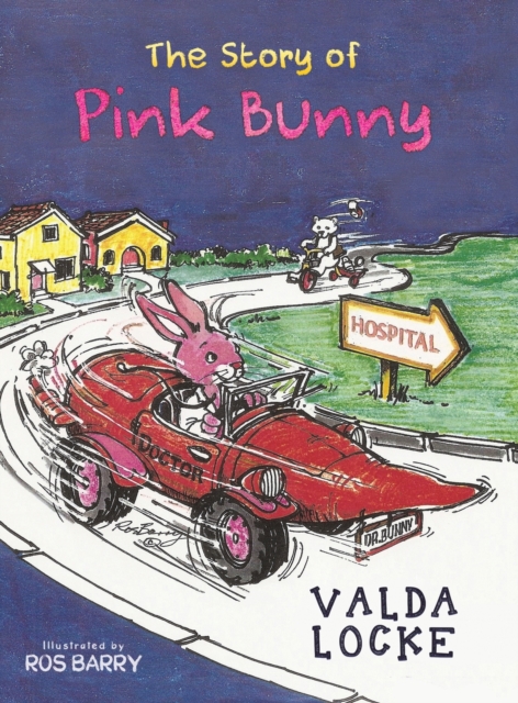 The Story of Pink Bunny, Hardback Book