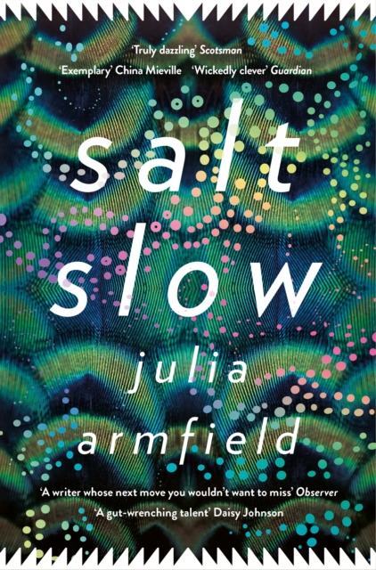 Salt Slow : From the author of OUR WIVES UNDER THE SEA, EPUB eBook