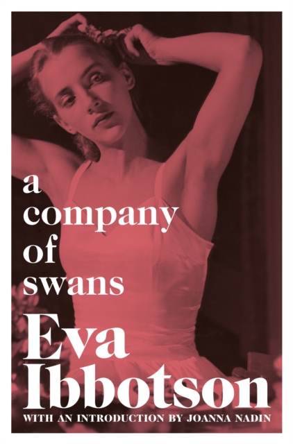 A Company of Swans, Paperback / softback Book