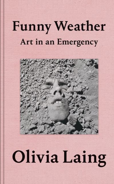 Funny Weather : Art in an Emergency, Hardback Book