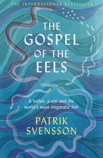 The Gospel of the Eels : A Father, a Son and the World's Most Enigmatic Fish, Hardback Book