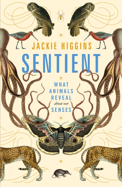 Sentient : What Animals Reveal About Our Senses, Hardback Book