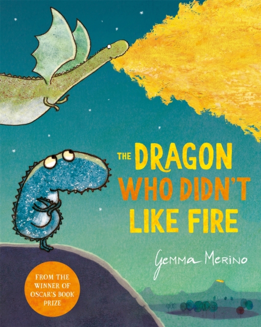 The Dragon Who Didn't Like Fire, Hardback Book