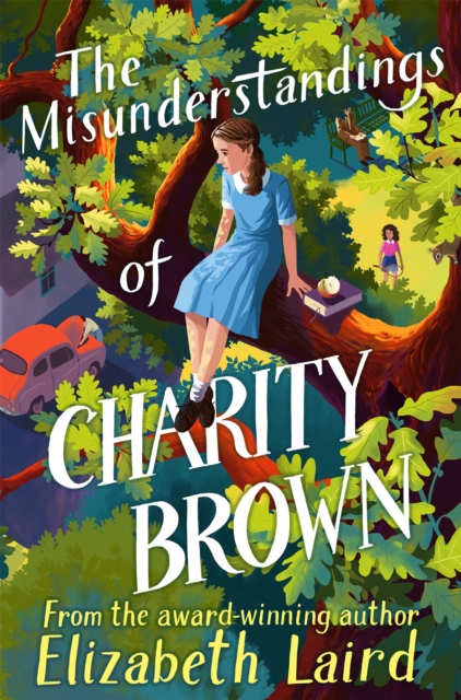 The Misunderstandings of Charity Brown, Paperback / softback Book