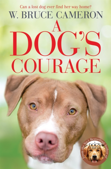 A Dog's Courage, EPUB eBook