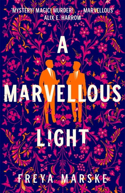 A Marvellous Light, Hardback Book