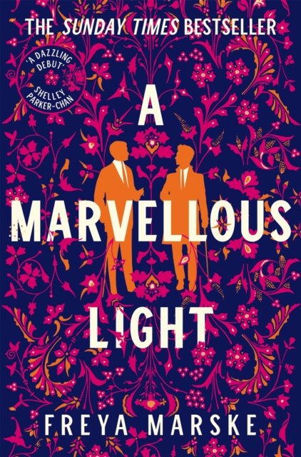 A Marvellous Light : a dazzling, queer romantic fantasy, EPUB eBook