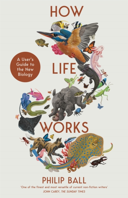 How Life Works : A User's Guide to the New Biology, EPUB eBook