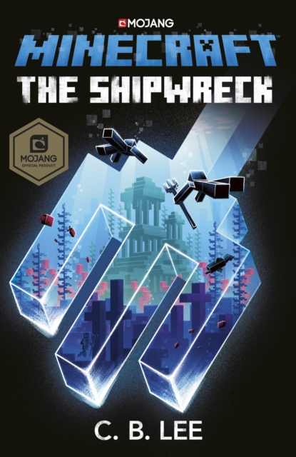 Minecraft: The Shipwreck, Paperback / softback Book