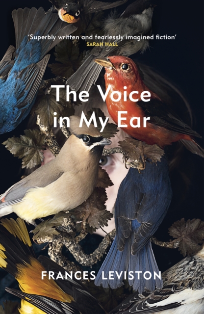 The Voice in My Ear, Paperback / softback Book