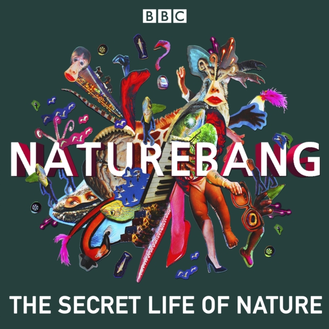 NatureBang : The secret life of nature, eAudiobook MP3 eaudioBook