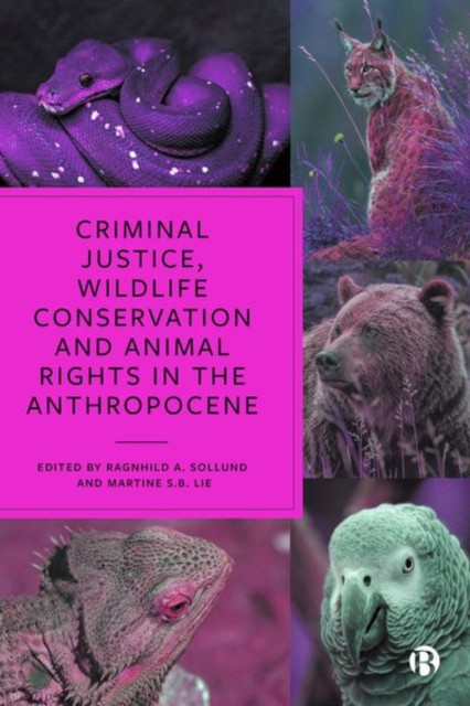 Criminal Justice, Wildlife Conservation and Animal Rights in the Anthropocene, Hardback Book